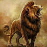Wilson Wizzo