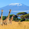 Nchi yangu Tanzania