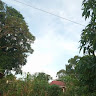 Patchès Pat