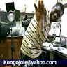 Kelvin Kongojole
