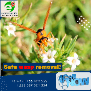 ECO-FASTEN ENVIRONMENTAL LTD