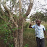 Abib Kibiki (MFCDP-TANZANIA)